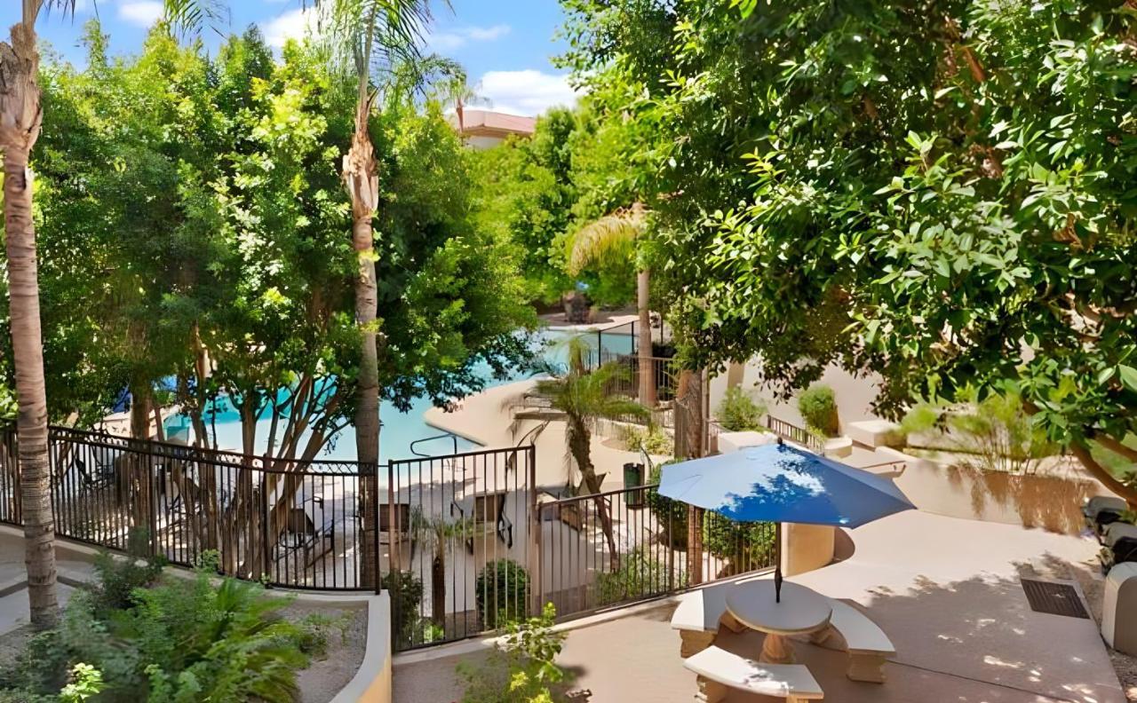 Biltmore Bliss Desert Retreat! Фінікс Екстер'єр фото